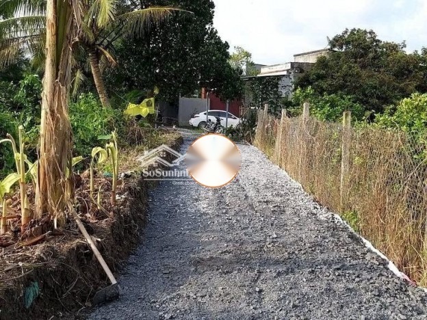Đất Vườn Trồng Chanh Không Hạt Chính Chủ  Đông Thạnh - Châu THành - Hậu Giang - 1,6 Triệu /m² - 3600 m²