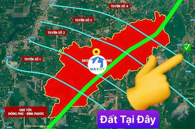 SIÊU HOT 1000M2 ĐẤT TÂN LỢI GIÁ CHỈ VỚI 450TR