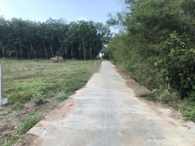 ĐẤT PHƯỜNG ĐÔNG THUẬN - THỊ XÃ BÌNH MINH - TỈNH VĨNH LONG .GIÁ BAO RẺ