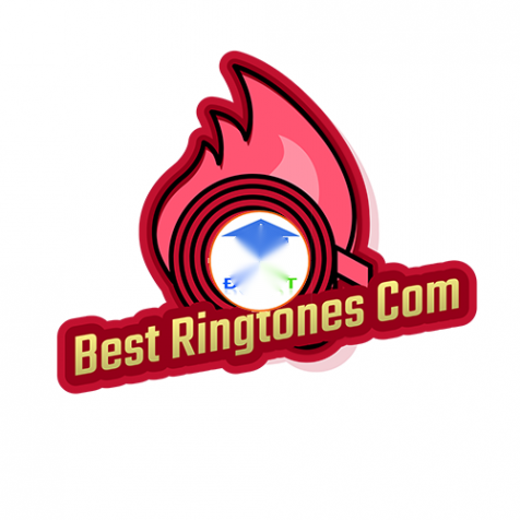 Cho Thuê Tòa Nhà Music Ringtones Com Tại 198 Đường Phương Trạch, Vĩnh Ngọc