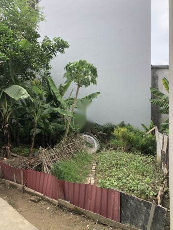 CHÍNH CHỦ CẦN BÁN ĐẤT TẠI TRINH LƯƠNG - QUẬN HÀ ĐÔNG. GIÁ CỰC TỐT - 3,2 Tỷ  - 75 m²