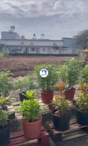 ĐẤT NỀN FO SỔ HỒNG RIÊNG MẶT TIỀN ĐÔNG THẠNH – HÓC MÔN