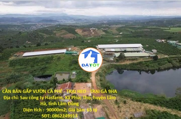 ĐẤT  ĐẸP- GIÁ TỐT- CẦN BÁN NHANH ĐẤT tại Xã Phúc Thọ, Lâm Hà, Lâm Đồng