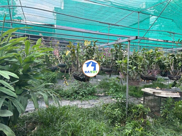 BÁN ĐẤT 2 MẶT TIỀN ĐƯỜNG DƯƠNG CÔNG KHI – DIỆN TÍCH LỚN – TIỀM NĂNG KHAI THÁC