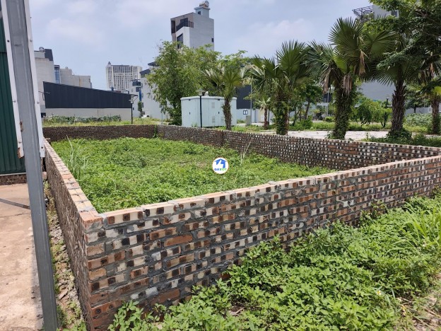 HOÀI ĐỨC, NHIỀU NGƯỜI TÌM VÂN CANH – NHƯNG KHÔNG PHẢI LÔ NÀO CŨNG ĐỨNG MẶT PHỐ