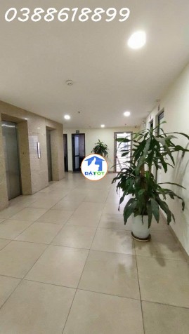 ???? TOÀ VP KHỦNG MẶT PHỐ HOÀNG CẦU, ĐỐNG ĐA - 410M2, MT 15M - 2 THANG MÁY, 1 HẦM - 239000000 Tổng diện tích - 410 m²