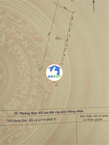 SIÊU PHẨM ĐẤT MẶT ĐƯỜNG 446 – QUỸ ĐẤT LỚN HIẾM CÓ CHO NHÀ ĐẦU TƯ - 1 Tổng diện tích - 3000 m²