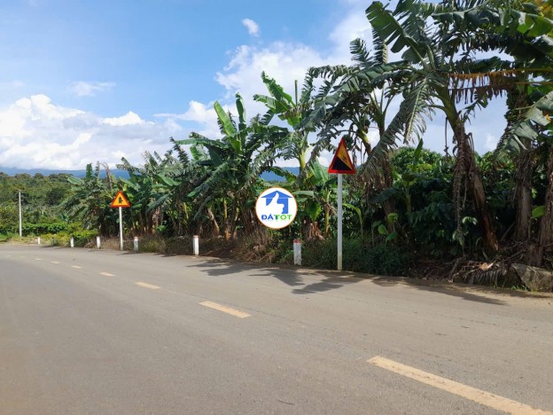 Bán gấp 3771m2 đất thổ cư tại Tân Lạc, Hòa Nam, Di Linh, Lâm Đồng. Sổ hồng - 2800000 Tổng diện tích - 3771 m²