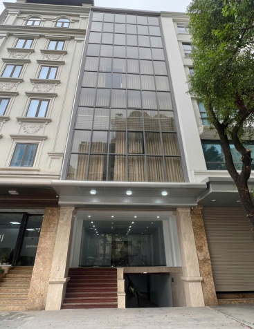 Cho thuê nhà, 88m2- 5T, Trần Quốc Hoàn, Phạm Tuấn Tài, Cầu Giấy -29 tr