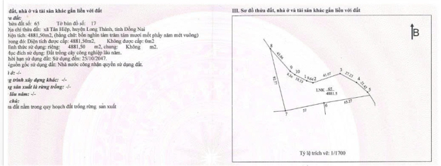 CƠ HỘI ĐẦU TƯ SINH LỜI - Chính Chủ Cần Bán Đất tại Xã Tân Hiệp,  Long Thành,