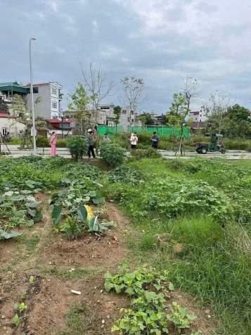 Rẻ nhất khu tái định cư Thư Lâm, Đông Anh - Vị trí đẹp - Gia đình cần vốn nên