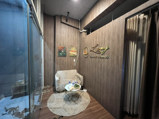 BÁN NHÀ MẶT TIỀN 60M2 2 TẦNG NGANG 4M VUÔNG KD ĐỈNH KHU PXL TRẦN KẾ XƯƠNG 8.5