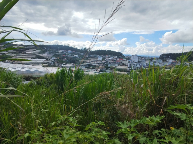 Bán đất cực đẹp tại Tô Hiệu - Đà Lạt view cực thoáng đường ô tô vào tận nơi