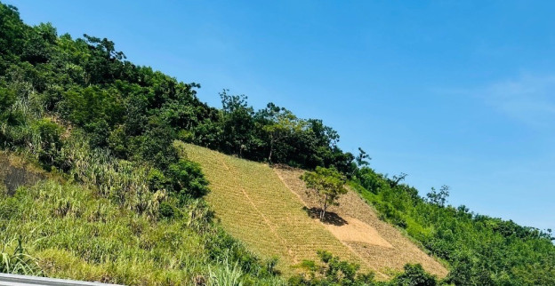 Đề xuất điều chỉnh 4.006,38 ha diện tích tự nhiên thuộc tỉnh Phú Thọ về TP.Hà Nội