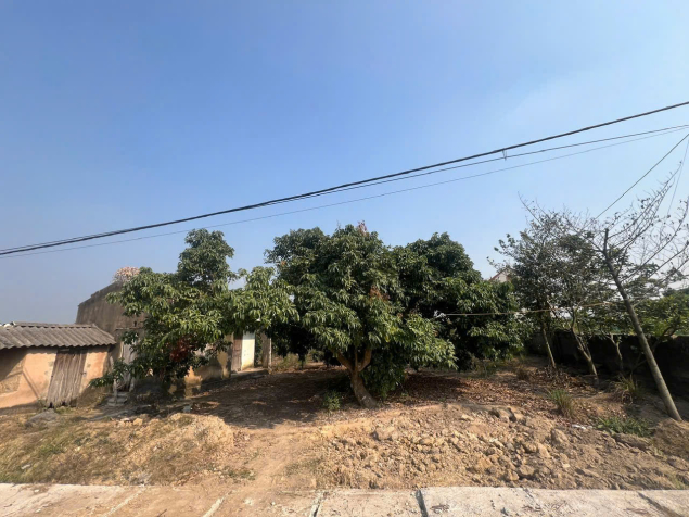 ĐẤT ĐẸP HOÀNG TIẾN – 993,5M², CƠ HỘI ĐÓN ĐẦU QUY HOẠCH TẠI CHÍ LINH!